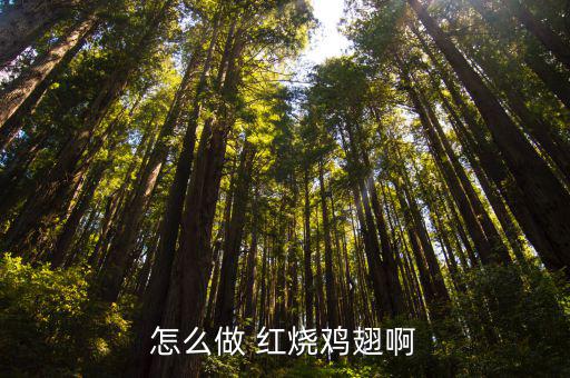 怎么做 紅燒雞翅啊
