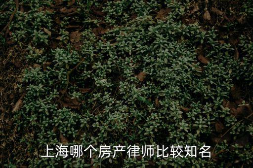 上海哪個(gè)房產(chǎn)律師比較知名