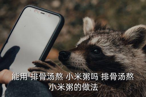 能用 排骨湯熬 小米粥嗎 排骨湯熬 小米粥的做法