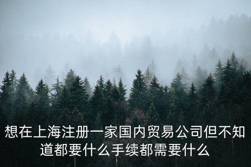 想在上海注冊一家國內貿易公司但不知道都要什么手續都需要什么