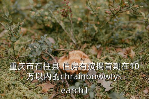 重慶市石柱縣蠶溪小學，請問重慶市石柱縣一共有幾所小學