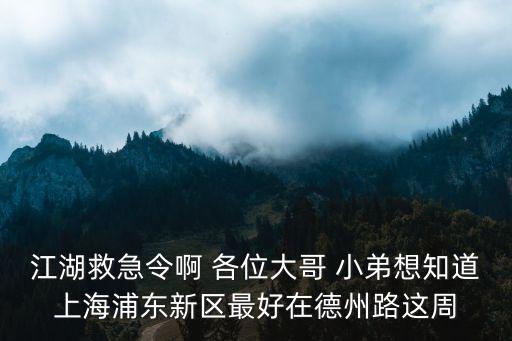 江湖救急令啊 各位大哥 小弟想知道上海浦東新區(qū)最好在德州路這周