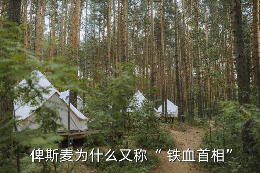 鐵血宰相俾斯麥,鐵血宰相俾斯麥的綽號