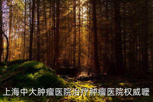 上海市中大腫瘤醫院張主任，上海中大腫瘤醫院治療腫瘤醫院權威嚒