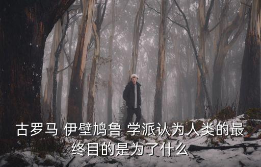 伊壁鳩魯學派,伊壁盧九把快樂作為美的標準在希臘辦學校