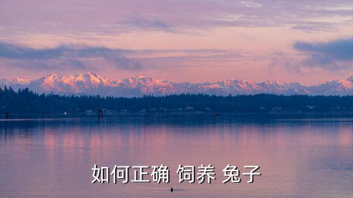 如何正確 飼養(yǎng) 兔子