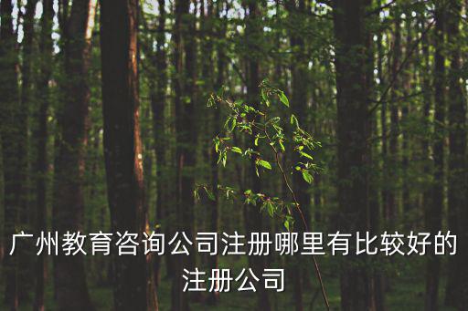 語言小博士廣州教育咨詢有限公司，廣州如何報讀自考本科時間是地點是費用是等等