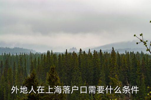 外地人在上海落戶口需要什么條件