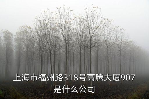 上海市福州路318號高騰大廈907是什么公司