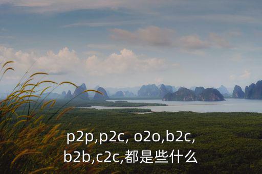 衛(wèi)浴o2o案例,四種家居電商模式迅速成形包括天貓和ayay