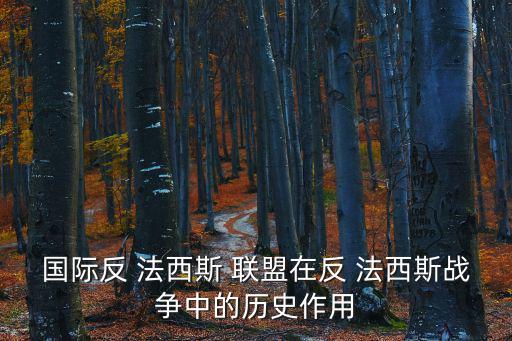 國(guó)際反 法西斯 聯(lián)盟在反 法西斯戰(zhàn)爭(zhēng)中的歷史作用