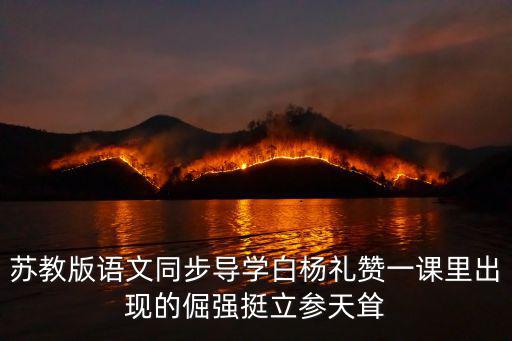白楊禮贊教學(xué)設(shè)計，蘇教版語文同步導(dǎo)學(xué)白楊禮贊一課里出現(xiàn)的倔強(qiáng)挺立參天聳