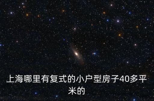 上海哪里有復(fù)式的小戶型房子40多平米的