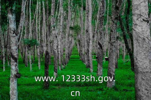 www. 12333sh.gov.cn