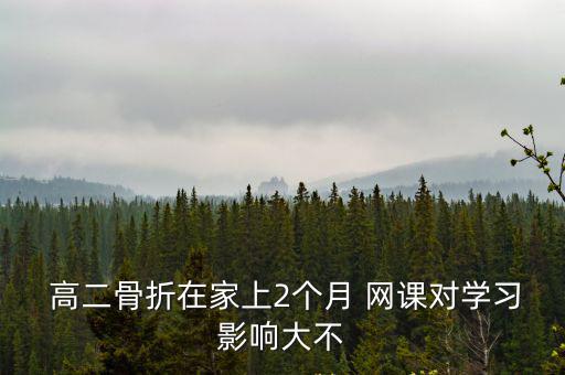  高二骨折在家上2個月 網課對學習影響大不