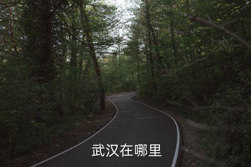 武漢簡介,武漢三鎮解放