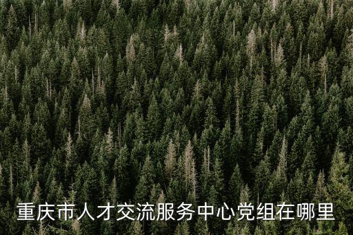重慶市人才交流服務中心黨組在哪里