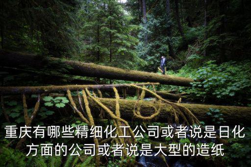 重慶市應(yīng)急局關(guān)于精細(xì)化工，重慶力宏精細(xì)化工有限公司