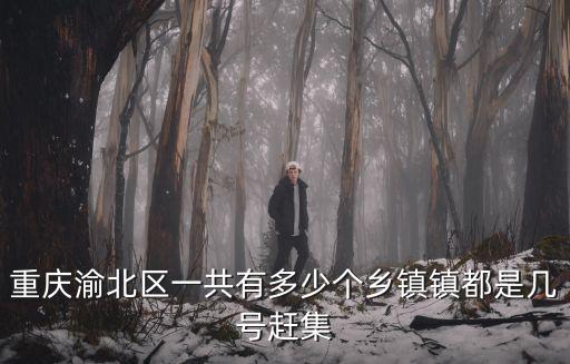 重慶市渝北區任禮慧，重慶渝北區廣播電視臺臺長叫什么