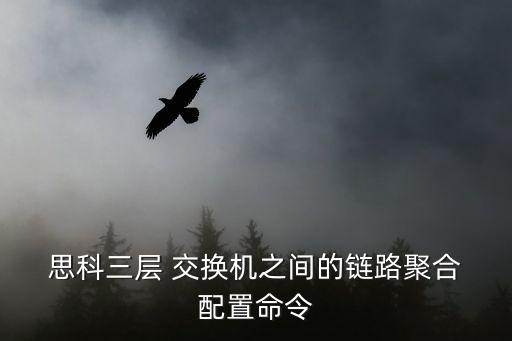 思科交換機配置,思科交換機clearing配置說明一文看懂