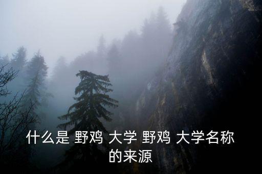什么是 野雞 大學(xué) 野雞 大學(xué)名稱的來源