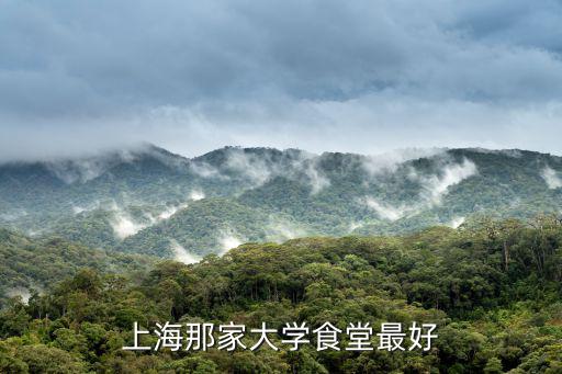 上海那家大學食堂最好