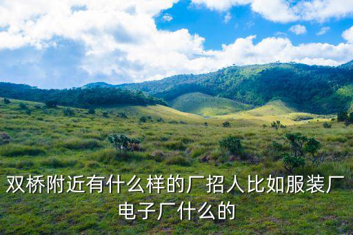 雙橋附近有什么樣的廠招人比如服裝廠電子廠什么的