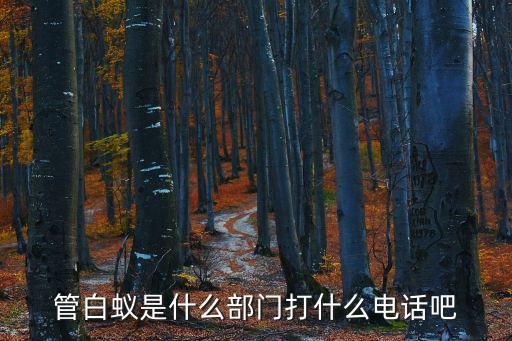 管白蟻是什么部門打什么電話吧
