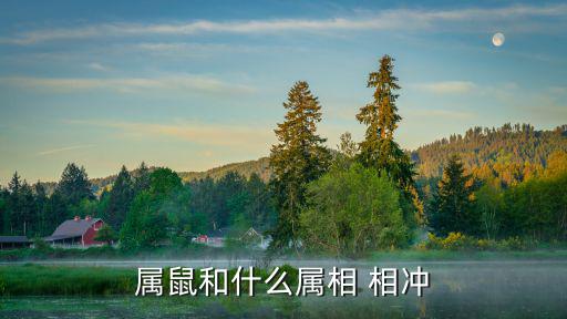 屬鼠和什么屬相 相沖