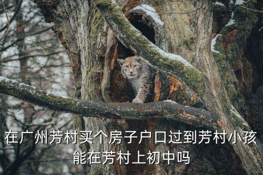 在廣州芳村買個(gè)房子戶口過到芳村小孩能在芳村上初中嗎