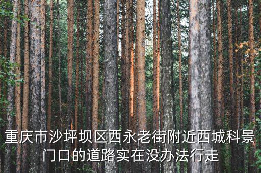 重慶市沙坪壩區(qū)西永老街附近西城科景門口的道路實在沒辦法行走