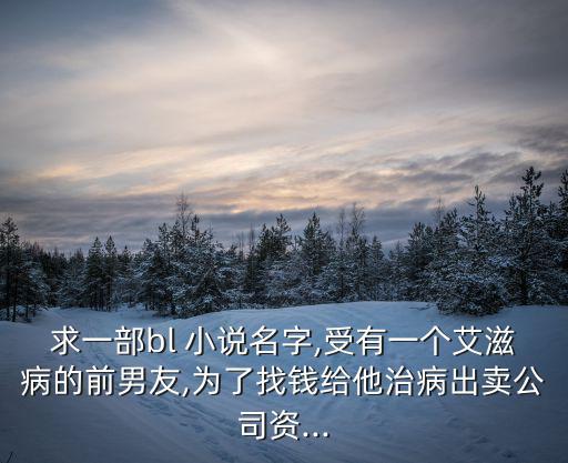 求一部bl 小說名字,受有一個艾滋病的前男友,為了找錢給他治病出賣公司資...