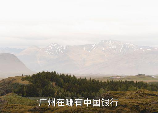 廣州市黃埔區中國銀行支行查詢，中國銀行廣州分行