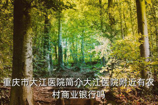 重慶市廖治美簡歷，直轄市重慶市扶貧基金會簡介關(guān)于TA的資料