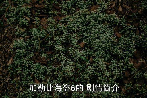 加勒比海盜劇情,加勒比海小偷續集登場了嗎?