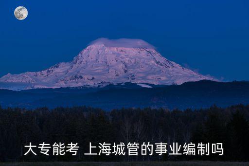 上海市2020年城管，上海城管一年多少工資