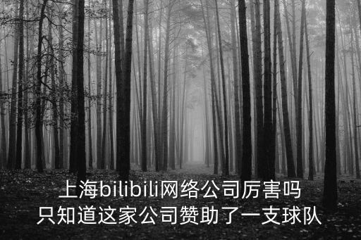 上海bilibili網絡公司厲害嗎只知道這家公司贊助了一支球隊