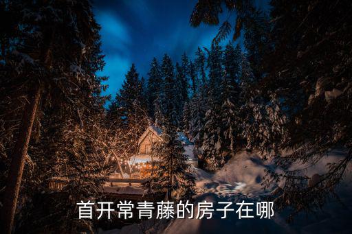 廣州實地常春藤樓盤詳情及其房價，wwwvsxncom 請問廣州現在房價多少錢