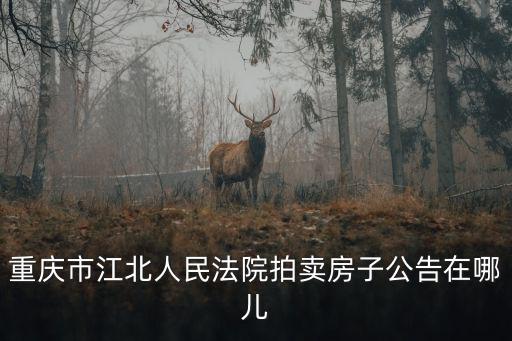 重慶市江北人民法院拍賣房子公告在哪兒