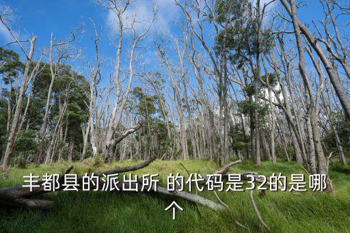 豐都縣的派出所 的代碼是32的是哪個(gè)