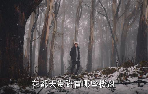 花都天貴路有哪些樓盤