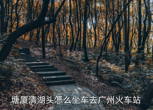 塘廈清湖頭怎么坐車去廣州火車站