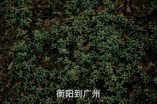衡陽到廣州