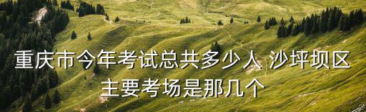 重慶市今年考試總共多少人 沙坪壩區主要考場是那幾個