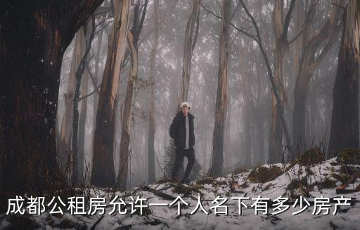 成都公租房允許一個人名下有多少房產(chǎn)