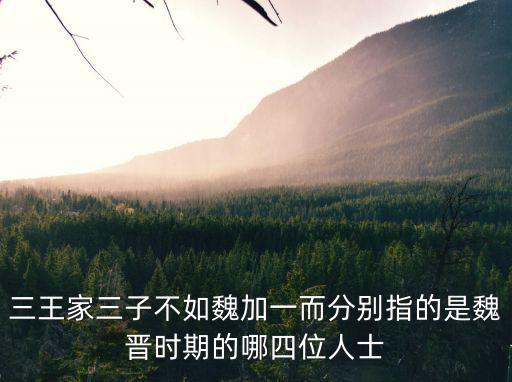 三王家三子不如魏加一而分別指的是魏晉時期的哪四位人士