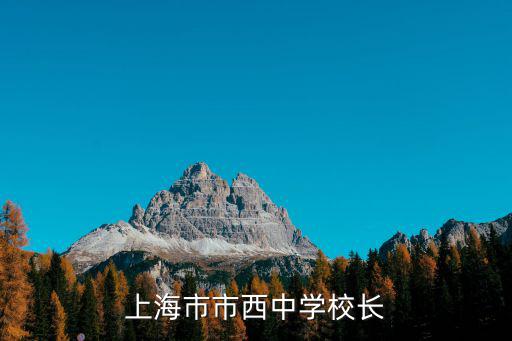 上海市市西中學校長