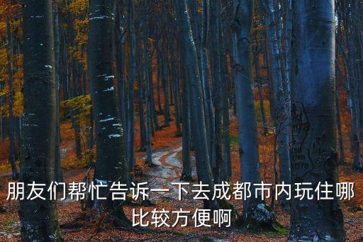 朋友們幫忙告訴一下去成都市內玩住哪比較方便啊