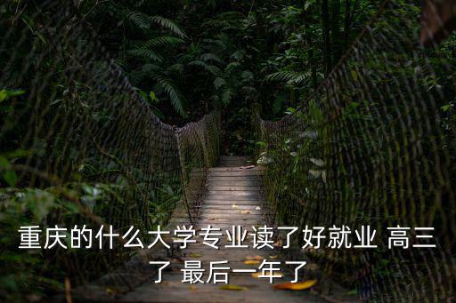 重慶的什么大學(xué)專業(yè)讀了好就業(yè) 高三了 最后一年了