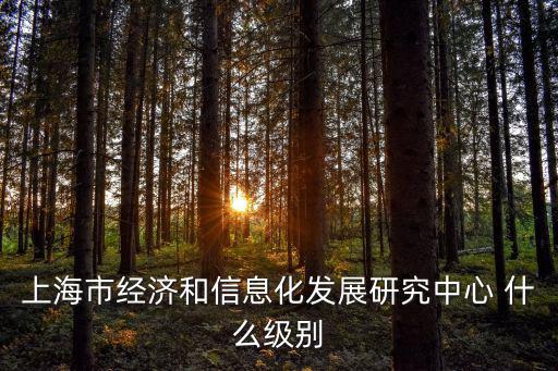 上海市經濟和信息化發展研究中心 什么級別